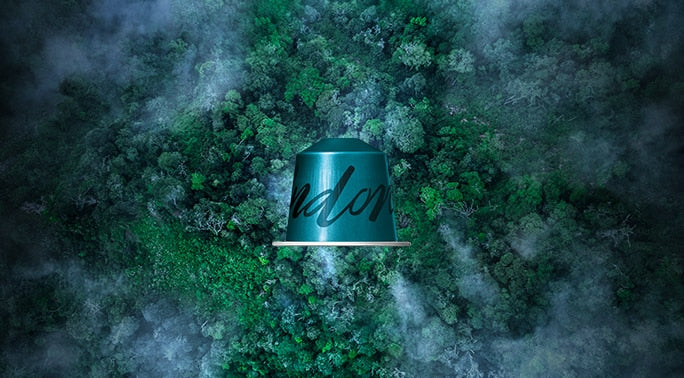 Indonesia - Fairtrade — 10 Capsules