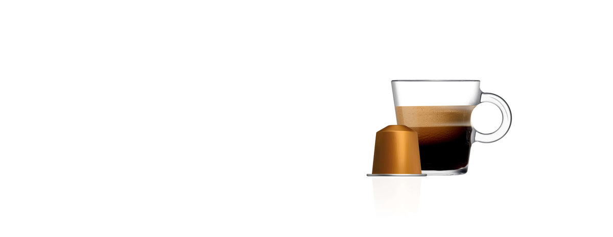 Livanto  — 10 Capsules